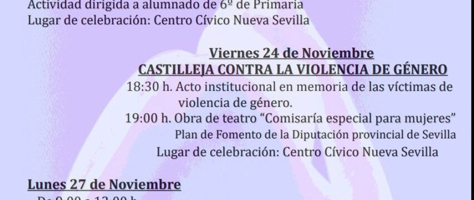 Cartel Actividades 25N