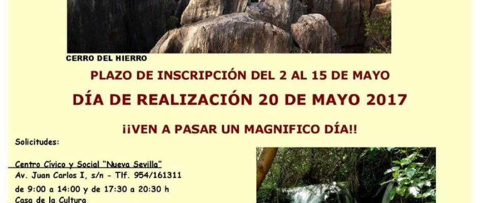 cartel visita san Nicolás del Puerto