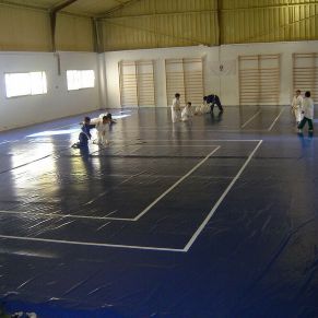 Salón de Judo