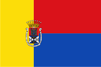 Bandera del municipio