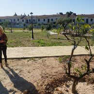 Árboles centenarios