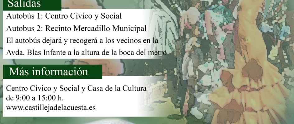 Autobuses_Feria2017 copia