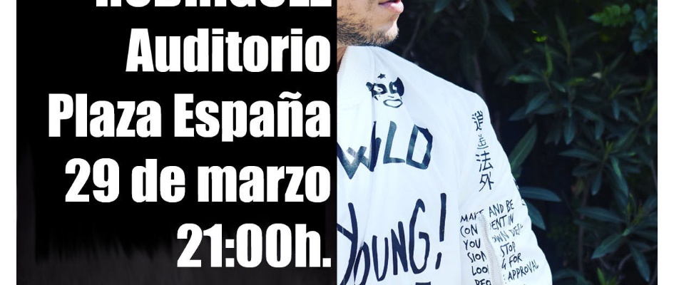 CARTEL CONCIERTO MICKY-v2