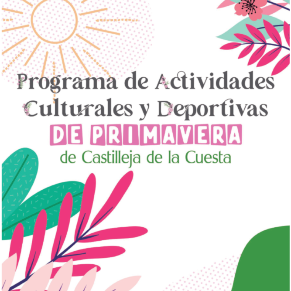 Captura de pantalla Programa Cultural 2026