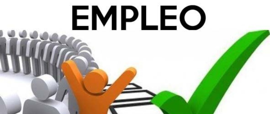 EMPLEO PUBLICO2019