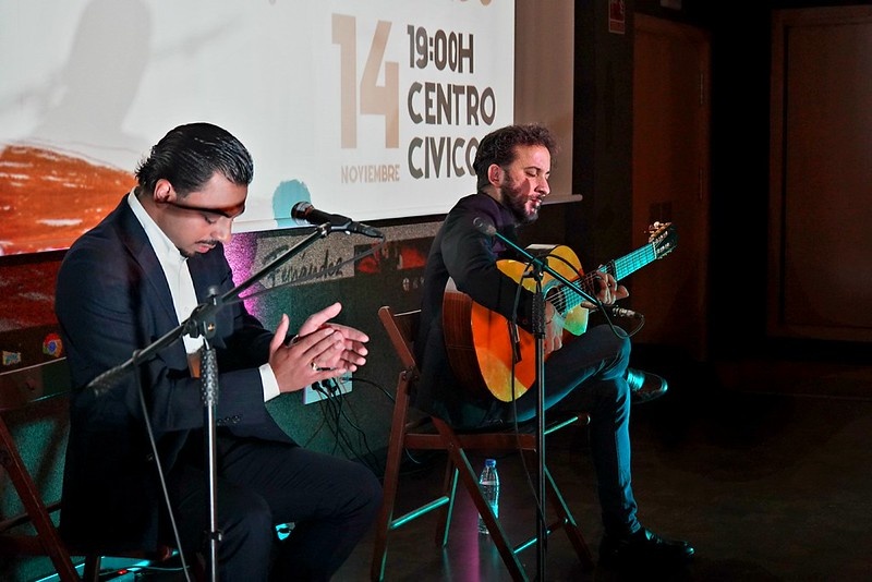 Festival de Flamenco NOV205 (4)