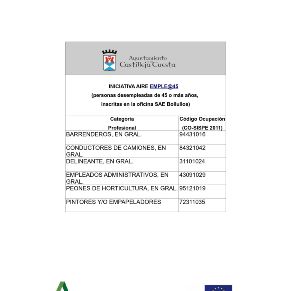 Iniciativa AIRE_Empleo 45