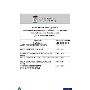 Iniciativa AIRE_Empleo Joven