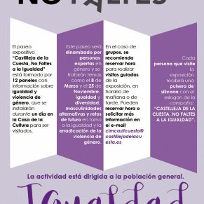 No faltes a la igualdad_trasera