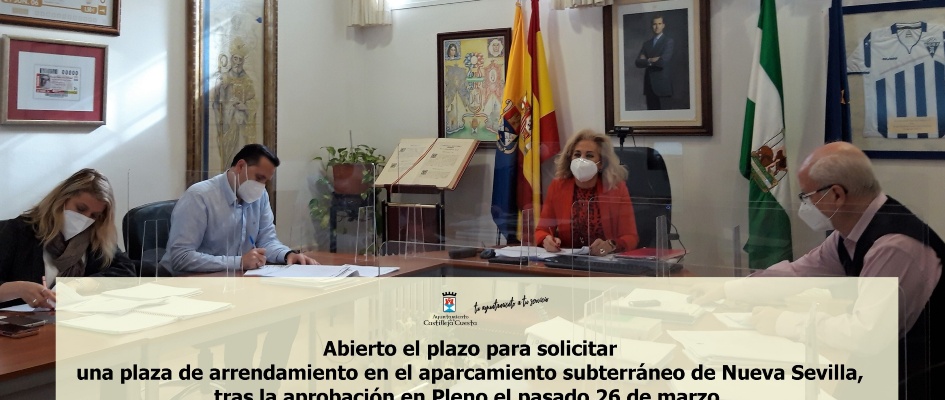 PLENO 26032021_arrendamiento