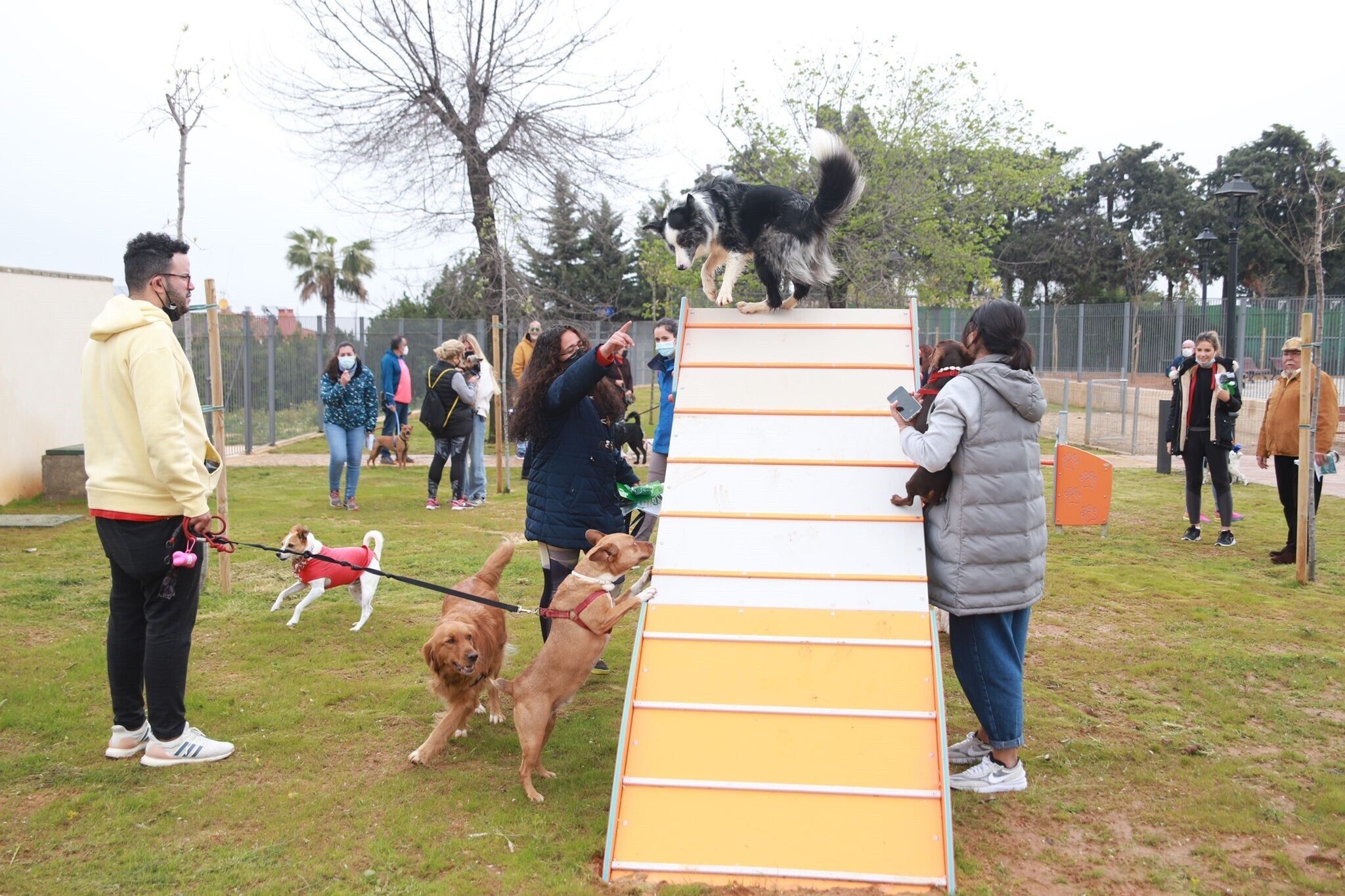Parque canino ABR22 2