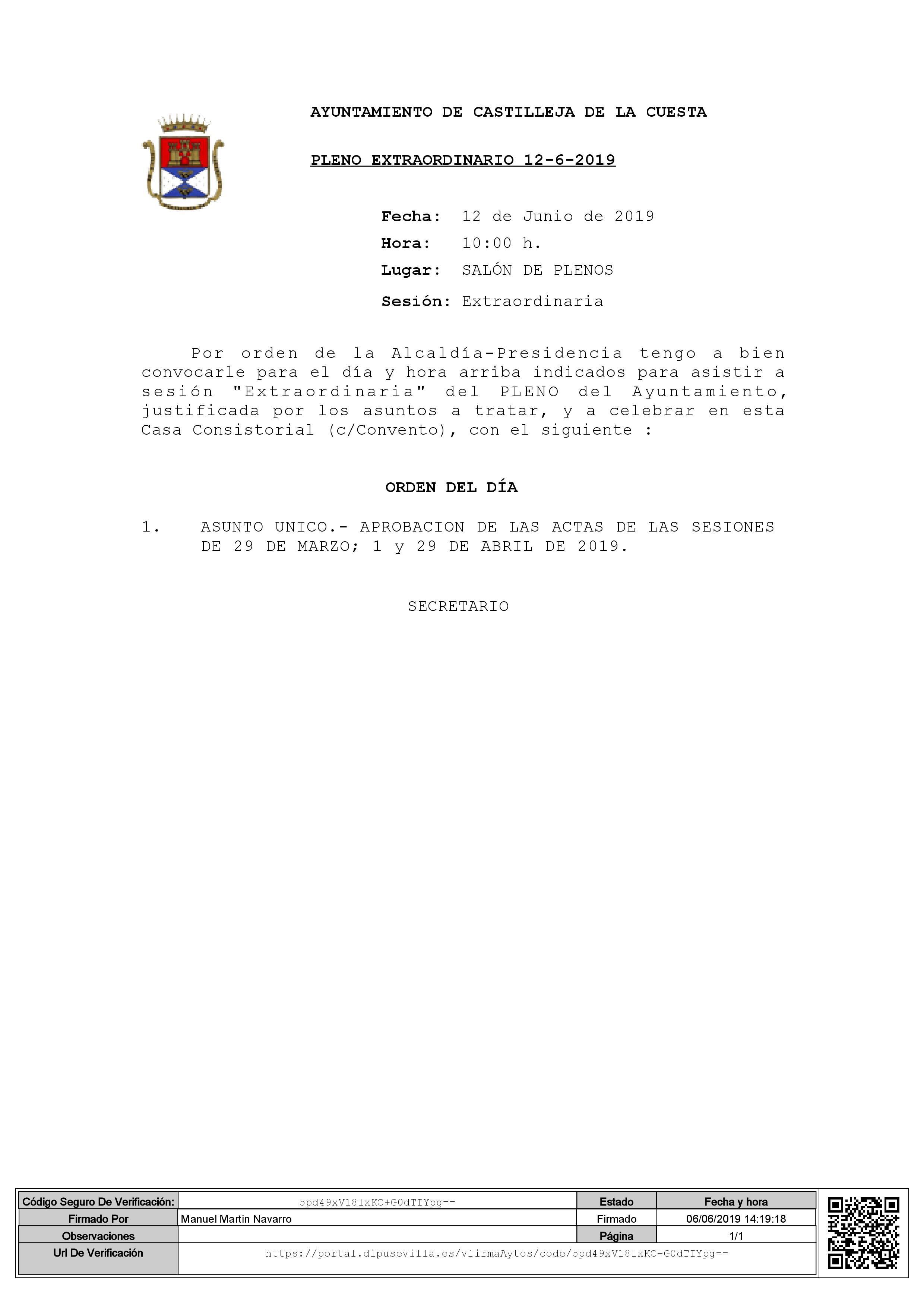 Pleno Extraordinario 12-06-19 1000 h.
