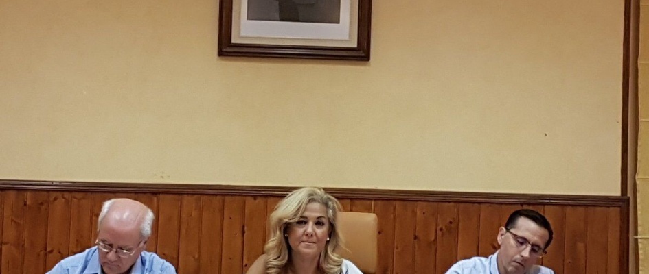 Pleno extraord. sep 2017 2