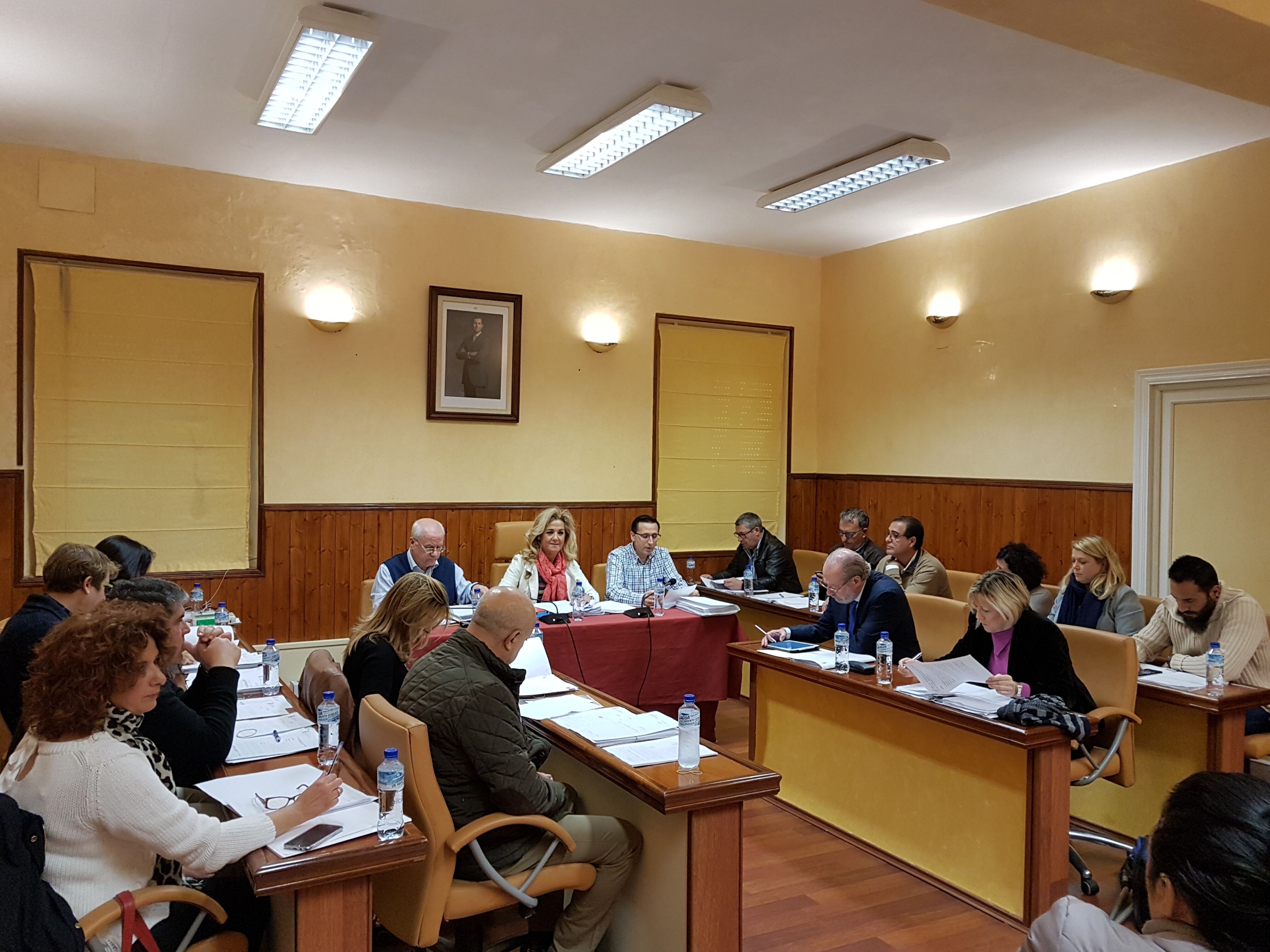 Pleno noviembre 2017 1