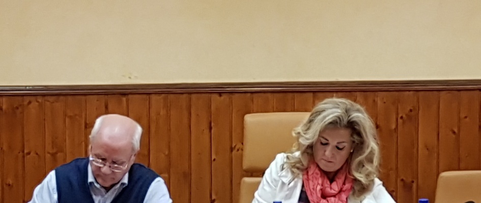 Pleno noviembre 2017 2