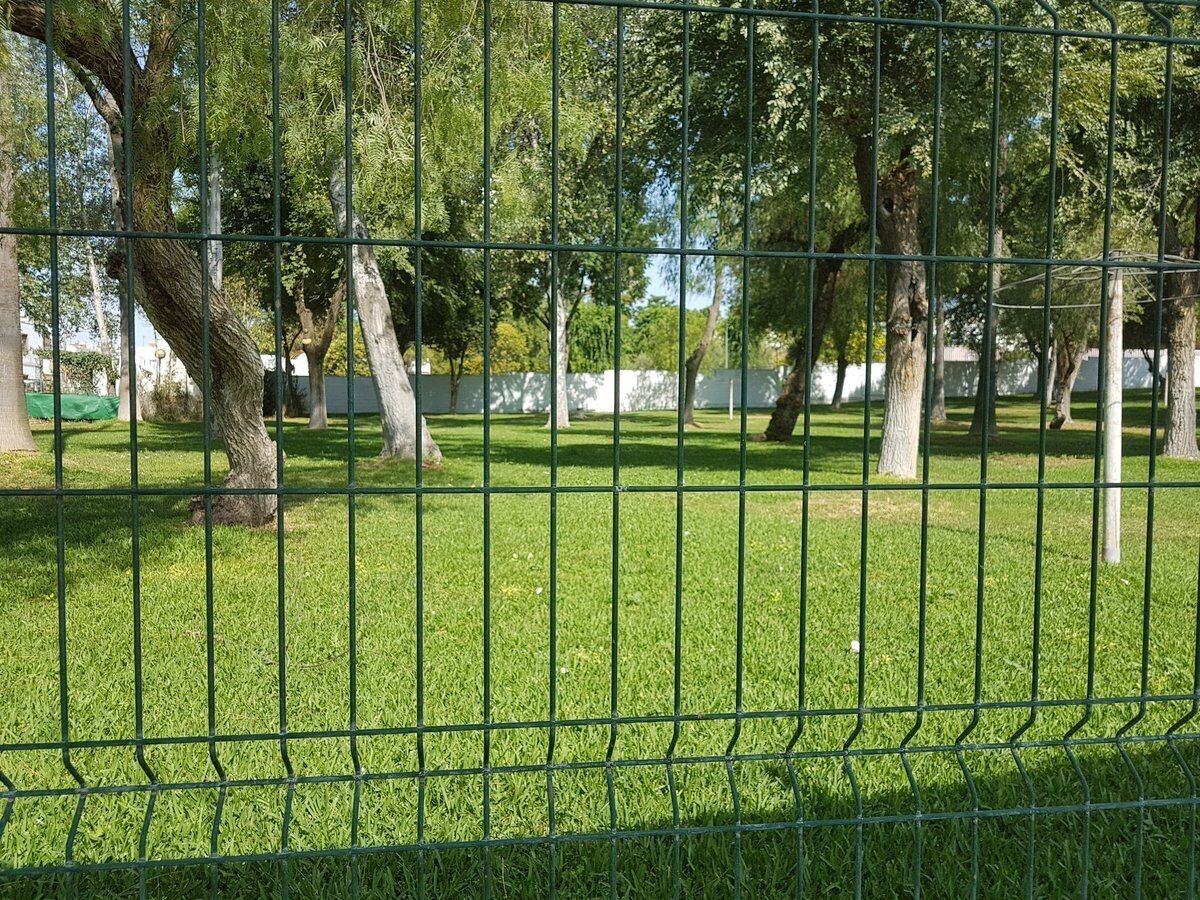 Visita Piscina Mpal (19-6-2017) 3