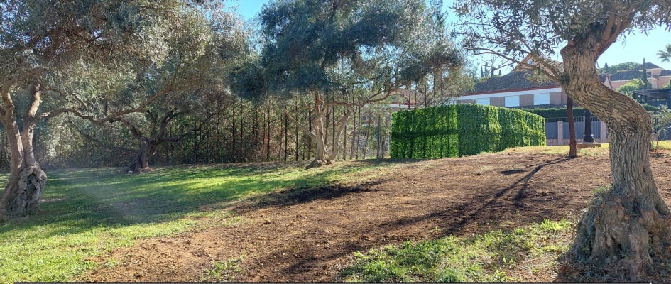 adquisición de plantas NOV22