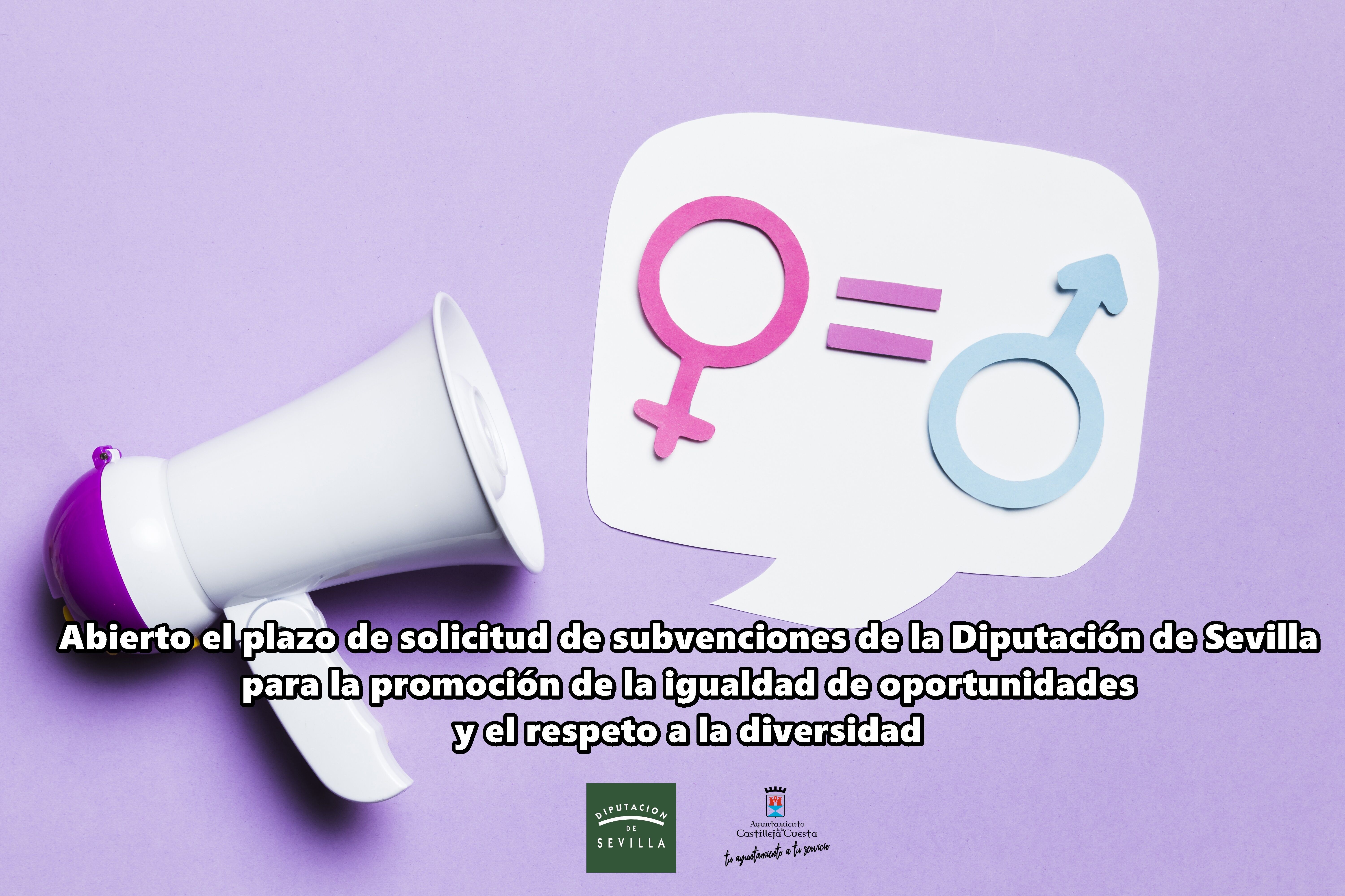 ayudas_igualdad Diputación 2020