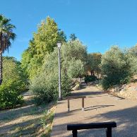 cambio de luminarias OCT24 3