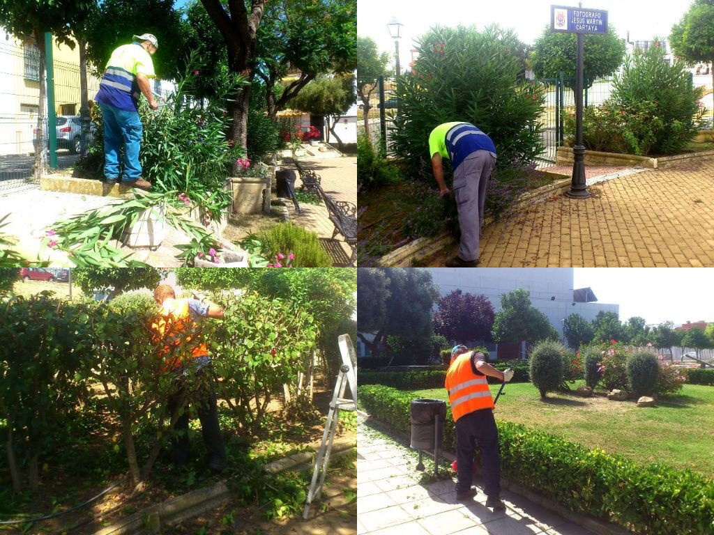 collage jardineria 20180718