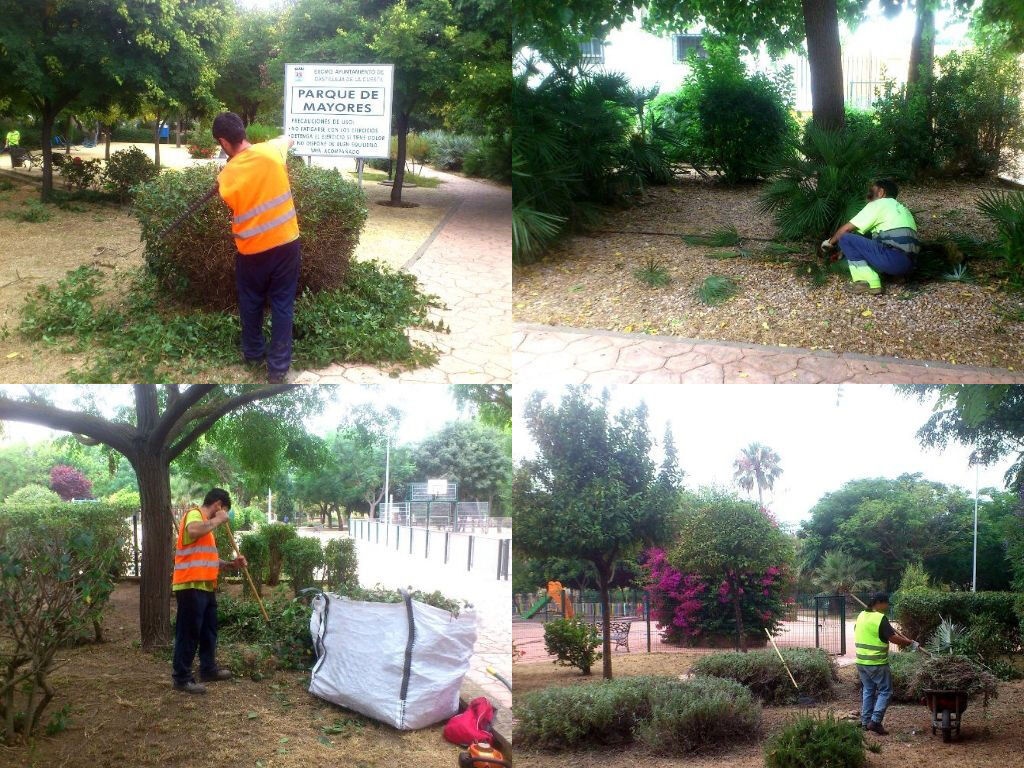 collage jardineria parque verde 20180719