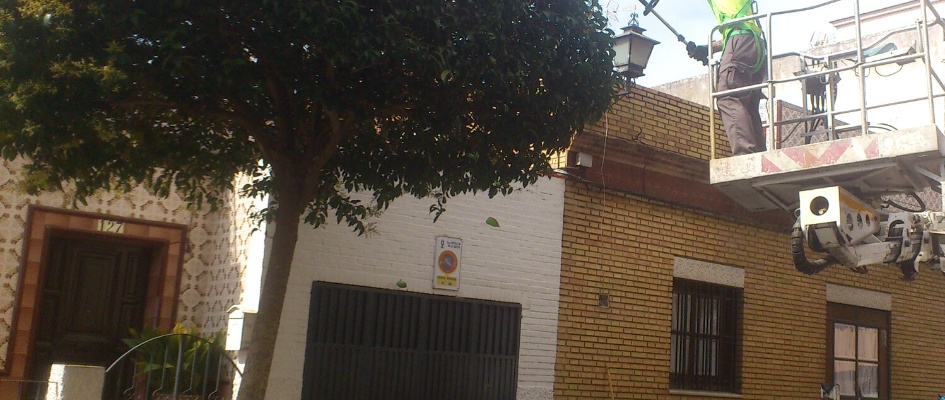 diego de los reyes 1(1)