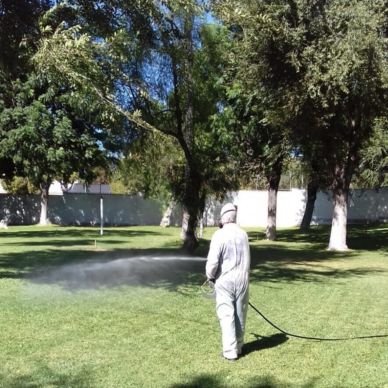 fumigacion_virusNilo_2020