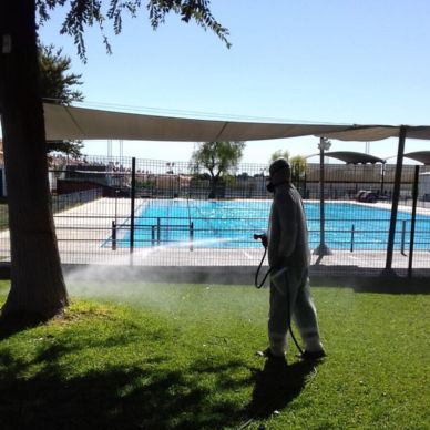 fumigacion_virusNilo_20201