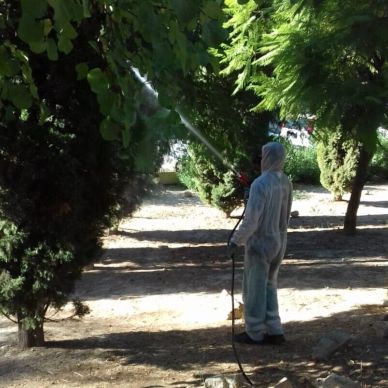 fumigacion_virusNilo_20202