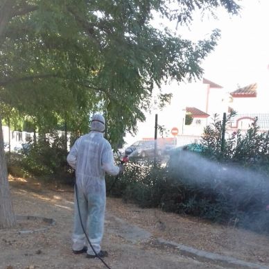 fumigacion_virusNilo_20203