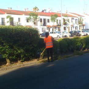 jardineria avenida de Gines