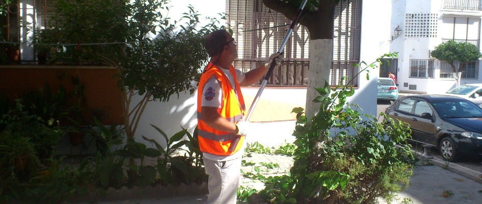 jardineria hermanos salguero gutierrez 1