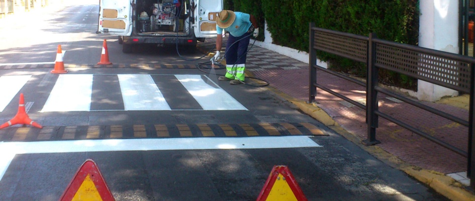 pintura cebra antonio mairena piscina 3