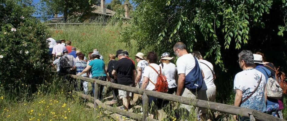 visita San Nicolás del Puerto 1